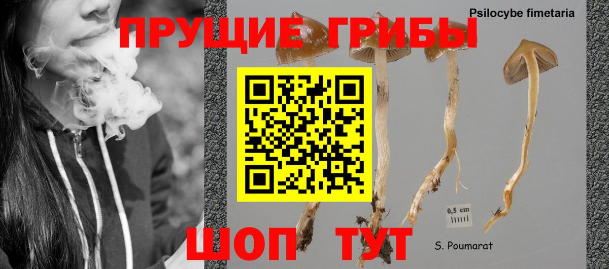 Галлюциногенные грибы прущие грибы  Вход с VPN  Миасс 